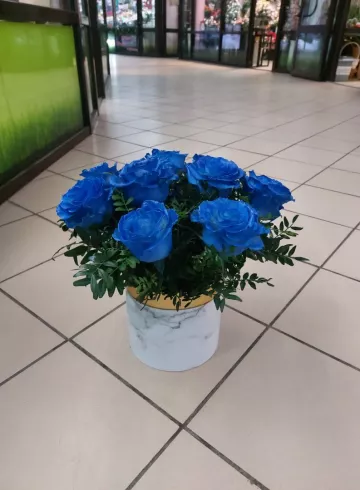 Синие розы в коробочке от интернет-магазина цветов в 