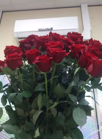 Эксплорер высокий от интернет-магазина цветов в 