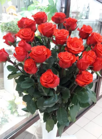 Роза Нина от интернет-магазина цветов в 