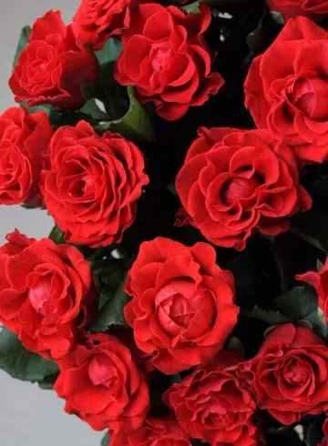 Эльторо от интернет-магазина цветов в 