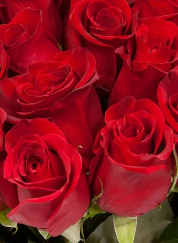 Секси Ред от интернет-магазина цветов в 