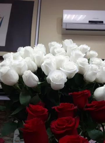 Роза «Проуд» от интернет-магазина цветов в 