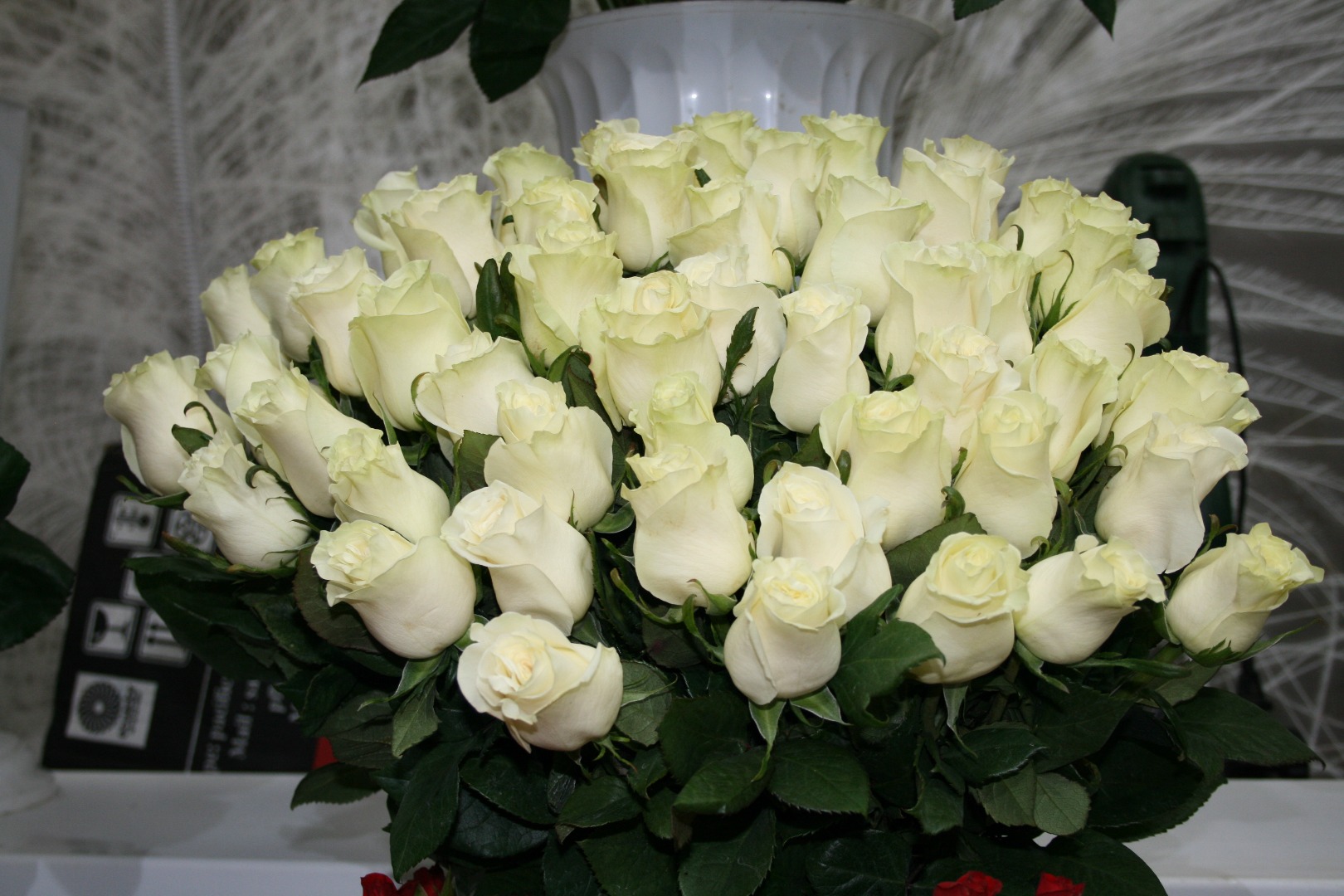 Дом белый с розами