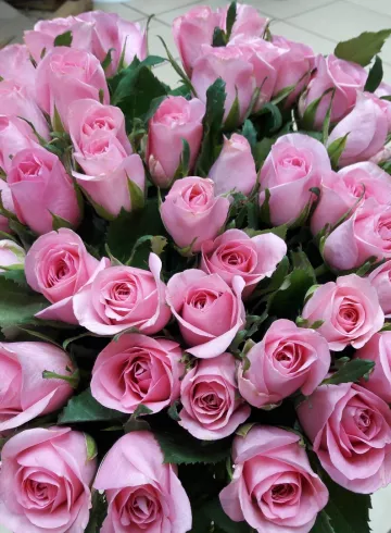 Свит Акито от интернет-магазина цветов в 