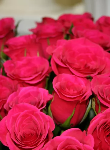 Кенди от интернет-магазина цветов в 