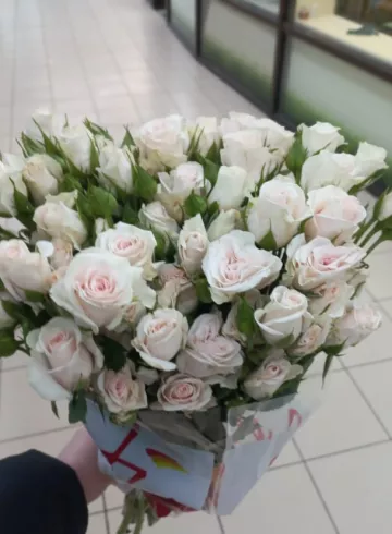 Роза Лола от интернет-магазина цветов в 