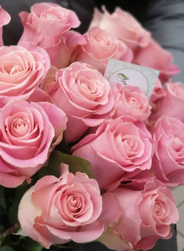 Роза Эрмоза от интернет-магазина цветов в 