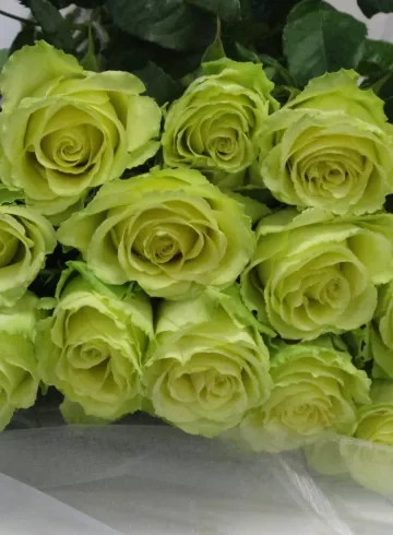 Лимонад от интернет-магазина цветов в 