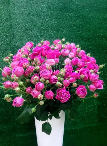 Роза «Мисти Баблс» от интернет-магазина цветов в 