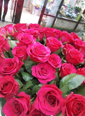 Кения малиновая от интернет-магазина цветов в 