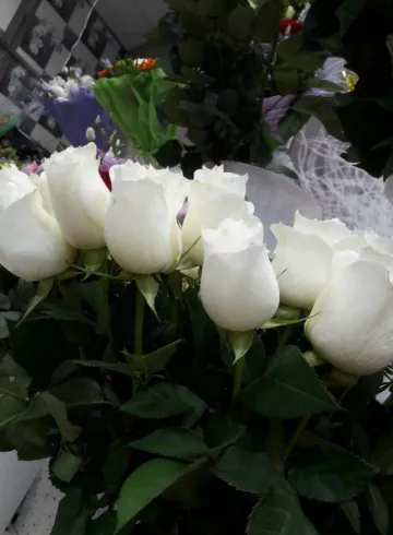 Роза «Кения белая» от интернет-магазина цветов в 