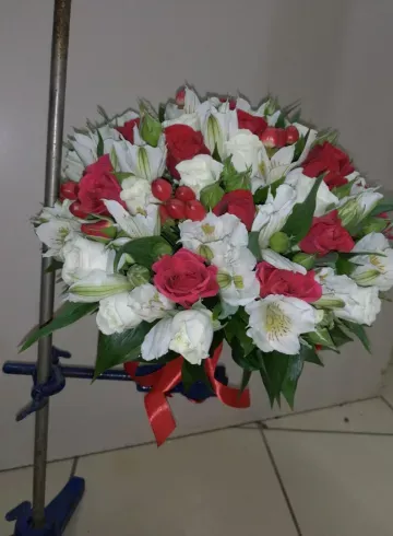 Алые паруса