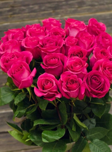 Роза Эквадор Пинк Флойд от интернет-магазина цветов в 