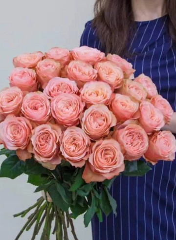 Роза Эквадор Кахала от интернет-магазина цветов в 