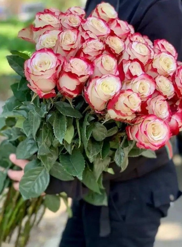 Роза Эквадор Свитнес от интернет-магазина цветов в 