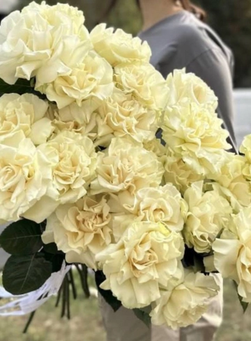 Французская Роза Вайт от интернет-магазина цветов в 