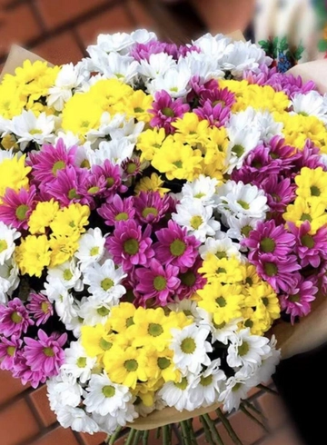 Краски  от интернет-магазина цветов в 