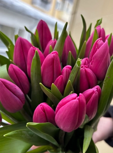 Тюльпан N1 от интернет-магазина цветов в 