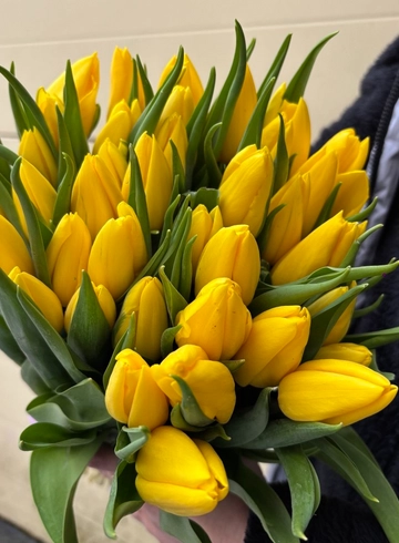 Тюльпан N3 от интернет-магазина цветов в 