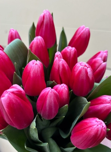 Тюльпан N8 от интернет-магазина цветов в 