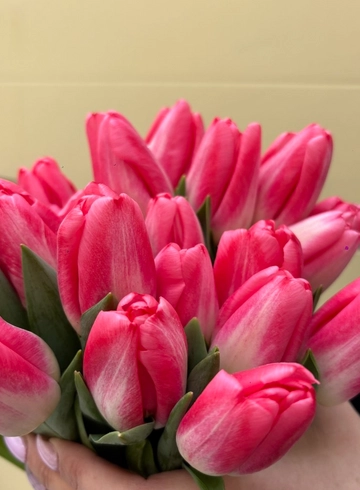 Тюльпан N9 от интернет-магазина цветов в 