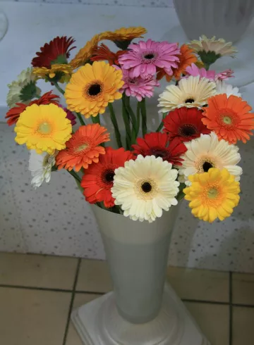 Гермини от интернет-магазина цветов в 