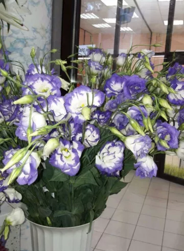 Эустома ! от интернет-магазина цветов в 