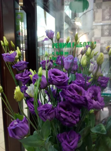 Эустома вайлет от интернет-магазина цветов в 