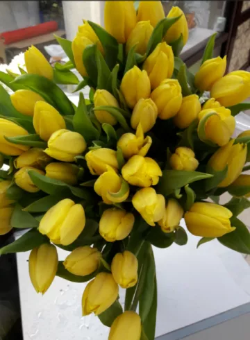 Тюльпан Голд от интернет-магазина цветов в 
