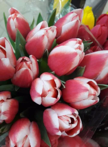 Римская империя от интернет-магазина цветов в 